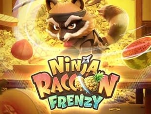 Ninja Racoon Frenzy game icon