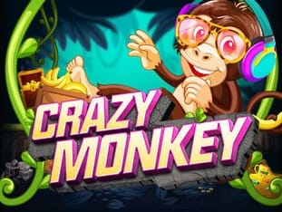 Crazy Monkey game thumbnail